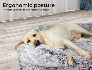 Dog lying on a fluffy gray pet bed with text about ergonomic posture and joint health at Pet Servo