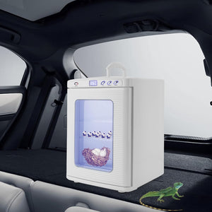 A compact white car interior disinfectator and dryer shown placed on a car trunk, with a transparent front window, digital display, control buttons, and a small green lizard graphic near the lower right.