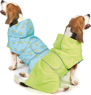 Two dogs wearing colorful raincoats on a white background at Pet Servo