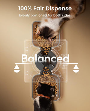 Buy oneisall - Automatic Cat Feeder for Dry Food at Pet Servo