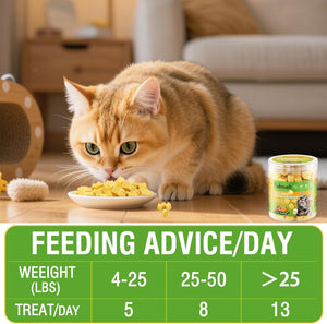 Cat eating from a bowl with feeding advice displayed on a green banner at Pet Servo