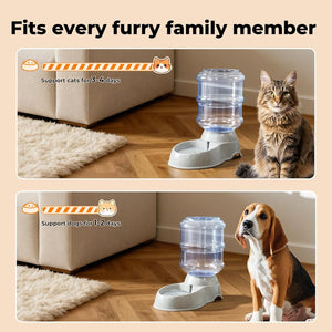Pet water and food dispenser with a cat and dog sitting next to it on a wooden floor at Pet Servo