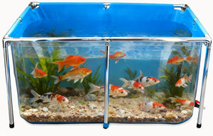 Fish tank with goldfish and plants on a blue background at Pet Servo
