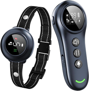 Pet training collar with remote control on a white background at Pet Servo