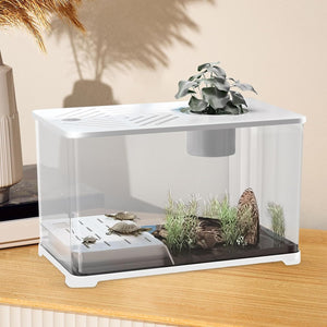 Small terrarium with plants and rocks on a wooden surface at Pet Servo