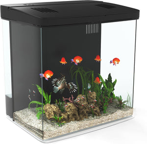 Fish tank with colorful fish and aquatic plants on a white background at Pet Servo