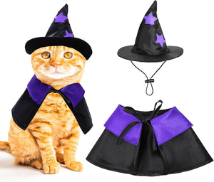 Cat wearing a black witch hat and purple scarf with a matching skirt on a white background