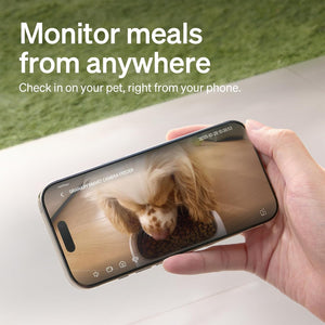 Hand holding a smartphone displaying a dog eating from a bowl, with text 'Monitor meals from anywhere'.