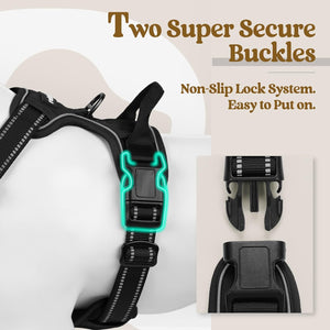 Black dog harness with two super secure buckles on a white background at Pet Servo