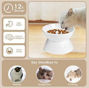 Cat eating from a white bowl with health benefits displayed on a beige background at Pet Servo
