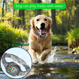 Dog playing in water with a waterproof device inset, surrounded by greenery at Pet Servo