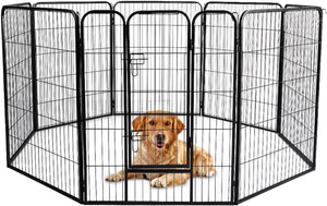 A black metal wire dog playpen with a gate, shown with a golden retriever puppy lying inside on a white background at Pet Servo