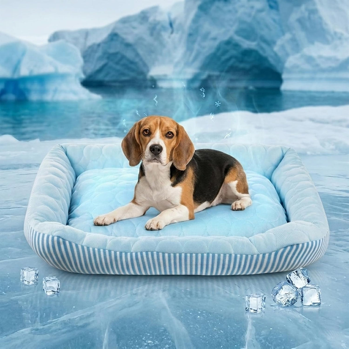 Pbed - Pet Ice Silk Summer Cooling Bed with Non-Slip Bottom, (Blue Medium) at Pet Servo