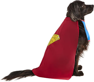 Dog wearing a red cape with a yellow logo on a white background at Pet Servo