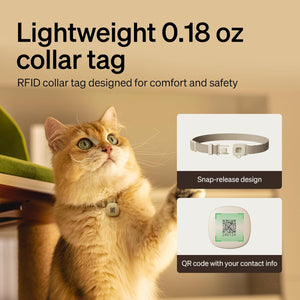Cat wearing a lightweight RFID collar tag with QR code, designed for comfort and safety at Pet Servo