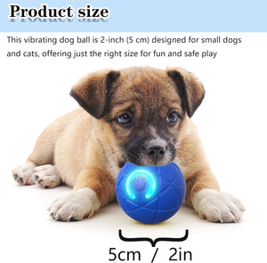 Dog playing with a blue vibrating ball on a white background at Pet Servo
