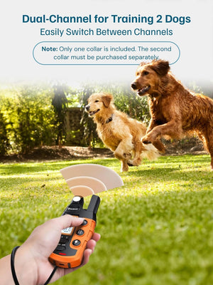 Dog training collar with remote control for two dogs in a park setting at Pet Servo