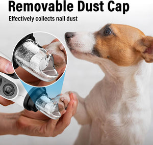 Buy Casfuy 6-Speed Pet Nail Grinder with 2 LED Lights at Pet Servo