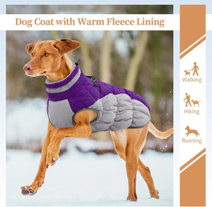 OUOBOB - Waterproof Dog Coat w/Harness - Purple - Petservo