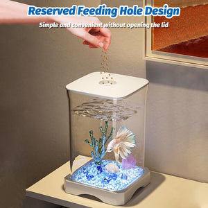 Small fish tank with a reserved feeding hole design on a neutral background at Pet Servo