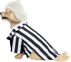 Dog wearing a black and white striped costume with a wig on a white background at Pet Servo