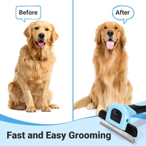 Before and after comparison of a dog with grooming tool, showing improved coat condition at Pet Servo