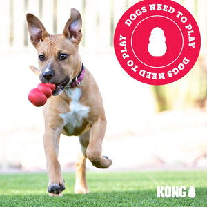 Dog running with a red toy, with 'KONG' branding and 'DOGS NEED TO PLAY' logo at Pet Servo