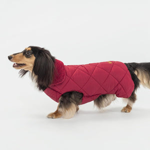 Fitwarm - Cozy Winter Clothes for Small Dogs - Pet Servo
