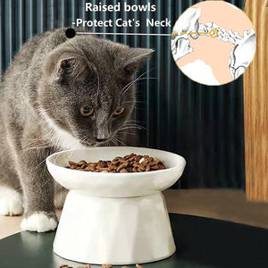 Cat eating from a raised pet bowl with text indicating it protects the cat's neck at Pet Servo