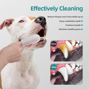 Dog being brushed with a toothbrush, showing before and after dental health improvements at Pet Servo