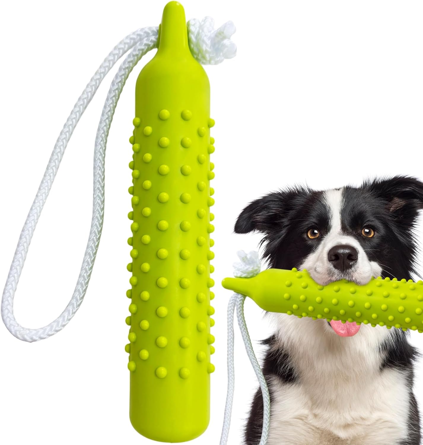 Dog playing with a green textured chew toy with a white rope at Pet Servo