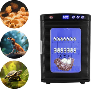 A black egg incubator with a blue illuminated viewing door, shown alongside three circular inset images of baby chicks, a lizard, and a turtle, on a white background.