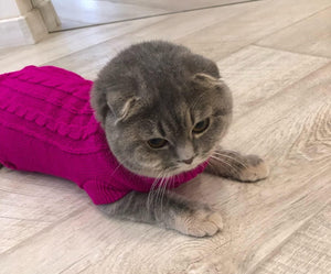 Knitted Sweater M – Cozy & Stylish for Small Pets - Petservo