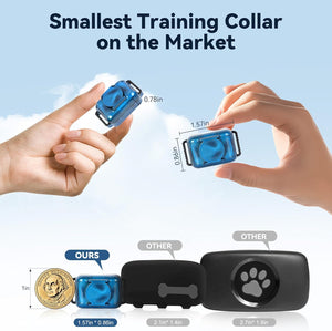 Small blue dog training collar held by hands with size comparison to a coin and other collars at Pet Servo