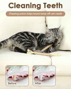Cat cleaning teeth with a chew toy, showing before and after effects on tartar at Pet Servo
