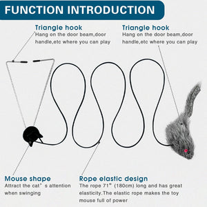 Diagram of a cat toy with triangle hook and mouse shape design, featuring text on function introduction at Pet Servo