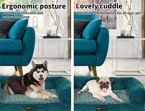 Two images of a teal dog bed with dogs on it, labeled 'Ergonomic posture' and 'Lovely cuddle' at Pet Servo