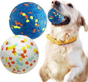 Dog playing with colorful ball toys on a white background at Pet Servo