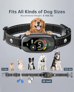 Dog collar with adjustable size feature, suitable for dogs of different weights and sizes at Pet Servo