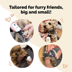 Product being used on pets with text 'Tailored for furry friends, big and small!'