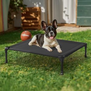 A black elevated pet cot with a black-and-white French bulldog lying on it, set on a green grass lawn in front of a house.
