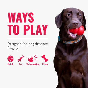 A dark brown dog on the right holds a red ball in its mouth against a white background, with large pink text reading 'WAYS TO PLAY' and smaller text 'Designed for long distance flinging.' Four pink icons below list Fetch, Tug, Noisemaking, and Chew at Pet Servo