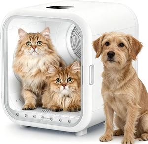 Pet incubator with two cats inside and a dog standing outside on a white background