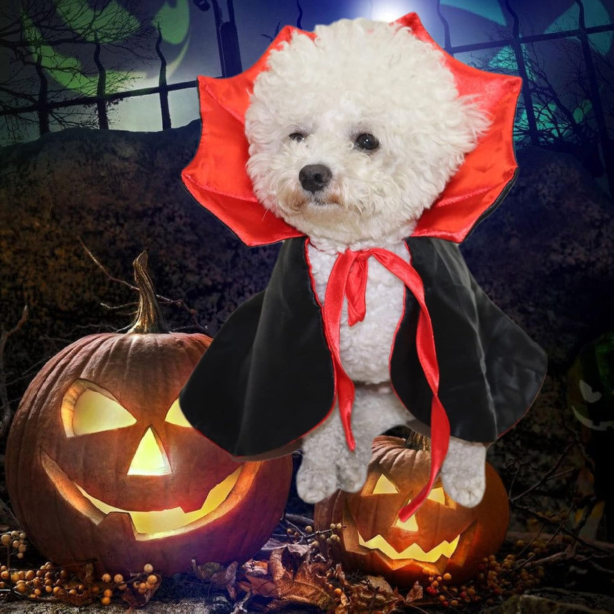 Qidelong - Halloween Vampire Cloak & Witch Costume for Dogs & Cats