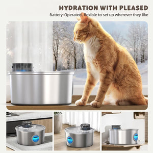 Buy Casfuy 6-Pack Pet Fountain Filters & Sponges at Pet Servo