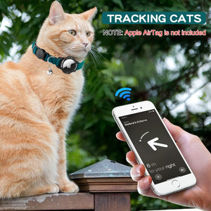 Cat wearing a tracking collar with a smartphone app displayed, outdoors at Pet Servo