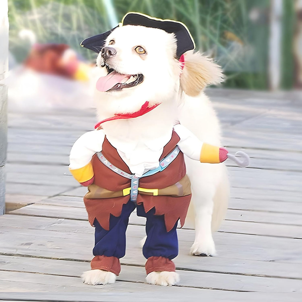 Dog wearing a pirate costume on a wooden deck at Pet Servo