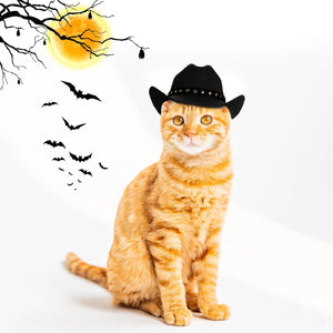 An orange tabby cat wearing a small black cowboy hat, posed against a white studio background with Halloween-themed wall decals including a full moon, bare tree branches, bats, and a silhouette of a cowboy at Pet Servo
