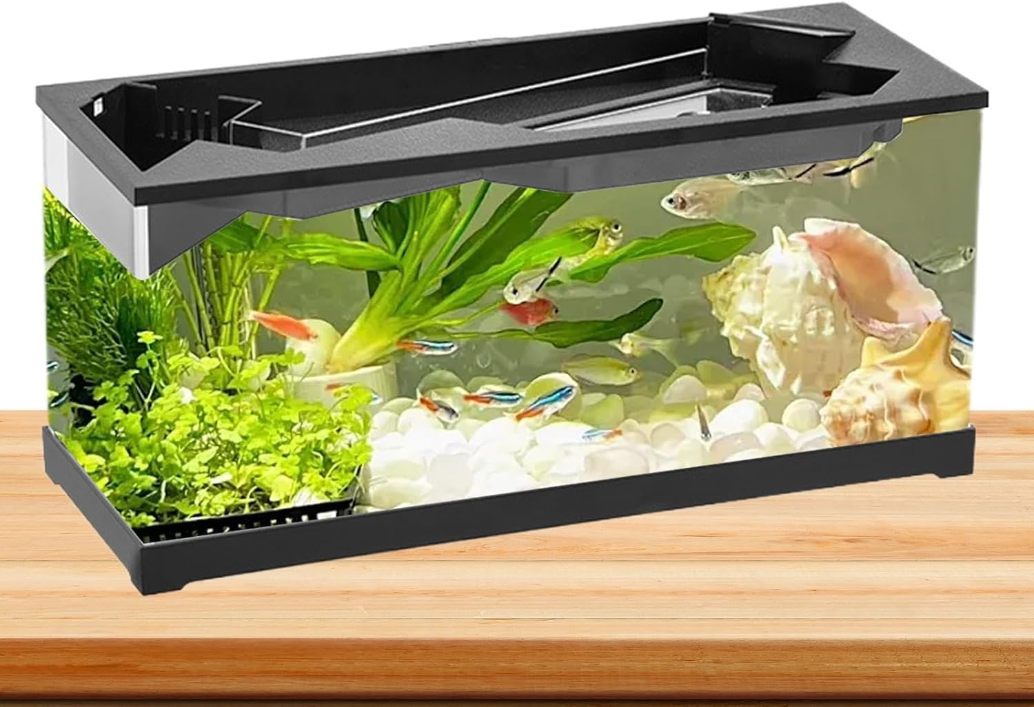 Fish tank with aquatic plants and fish on a wooden surface at Pet Servo