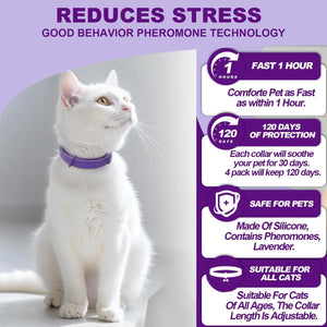 White cat wearing a purple collar with product features on a light gray background at Pet Servo